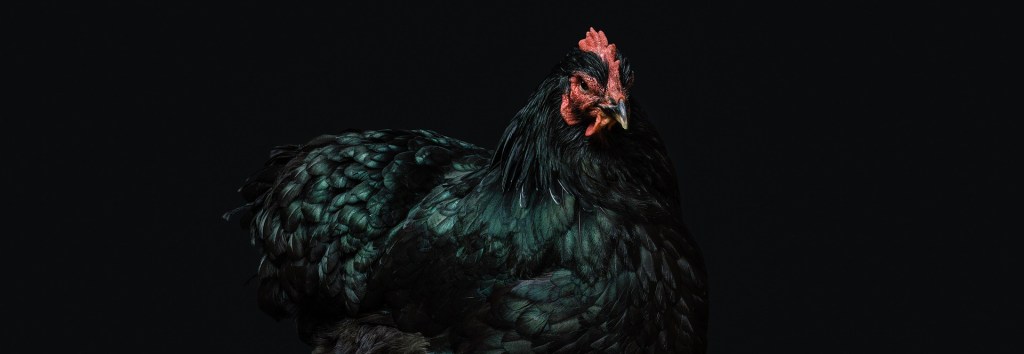 And Now for Something Completely&nbsp;Different