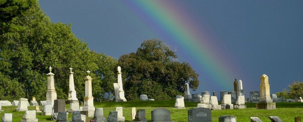 Bringing Darlings Back to&nbsp;Life